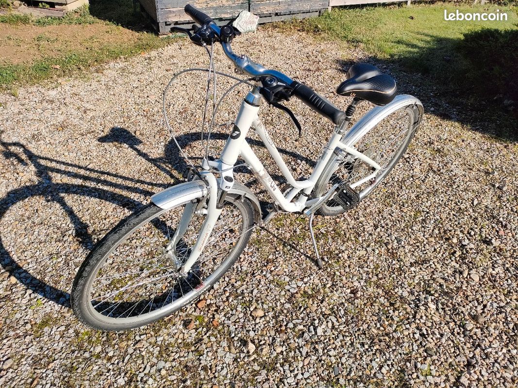 Liv Gravel Taille M Liv Velo Giant Femme Ville Vélo électrique