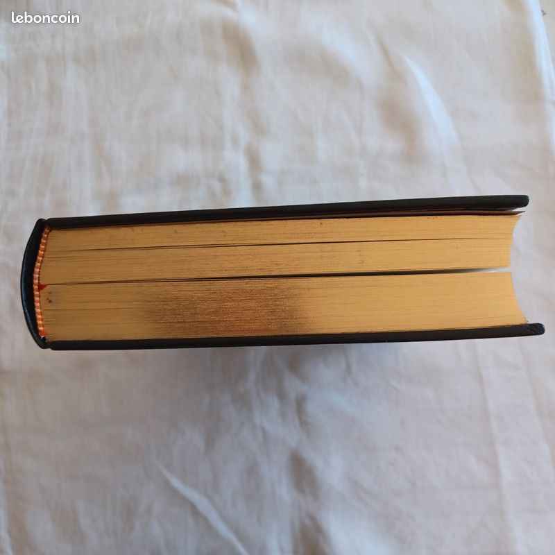 1 livre d'art de Rodin LES CATHÉDRALES DE FRANCE edts j de Bonnot (image 18)