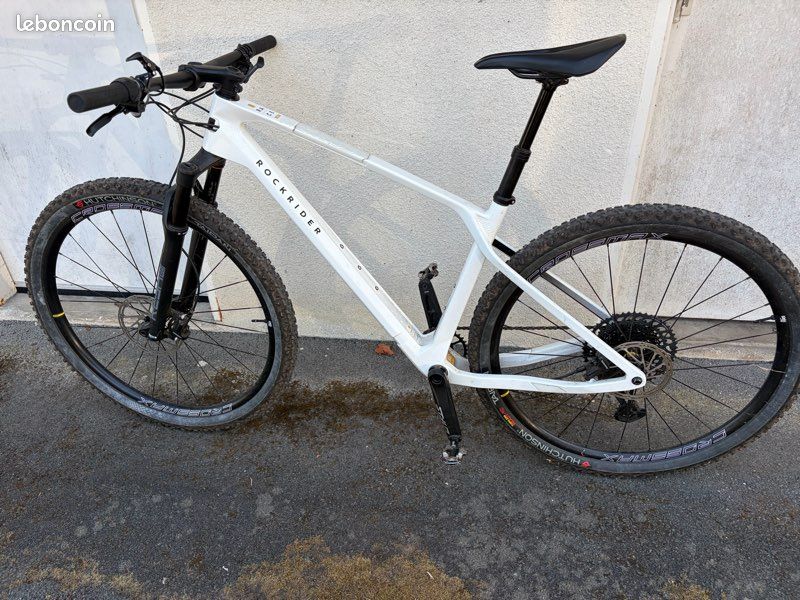 Rockrider Race 900 (image 1)