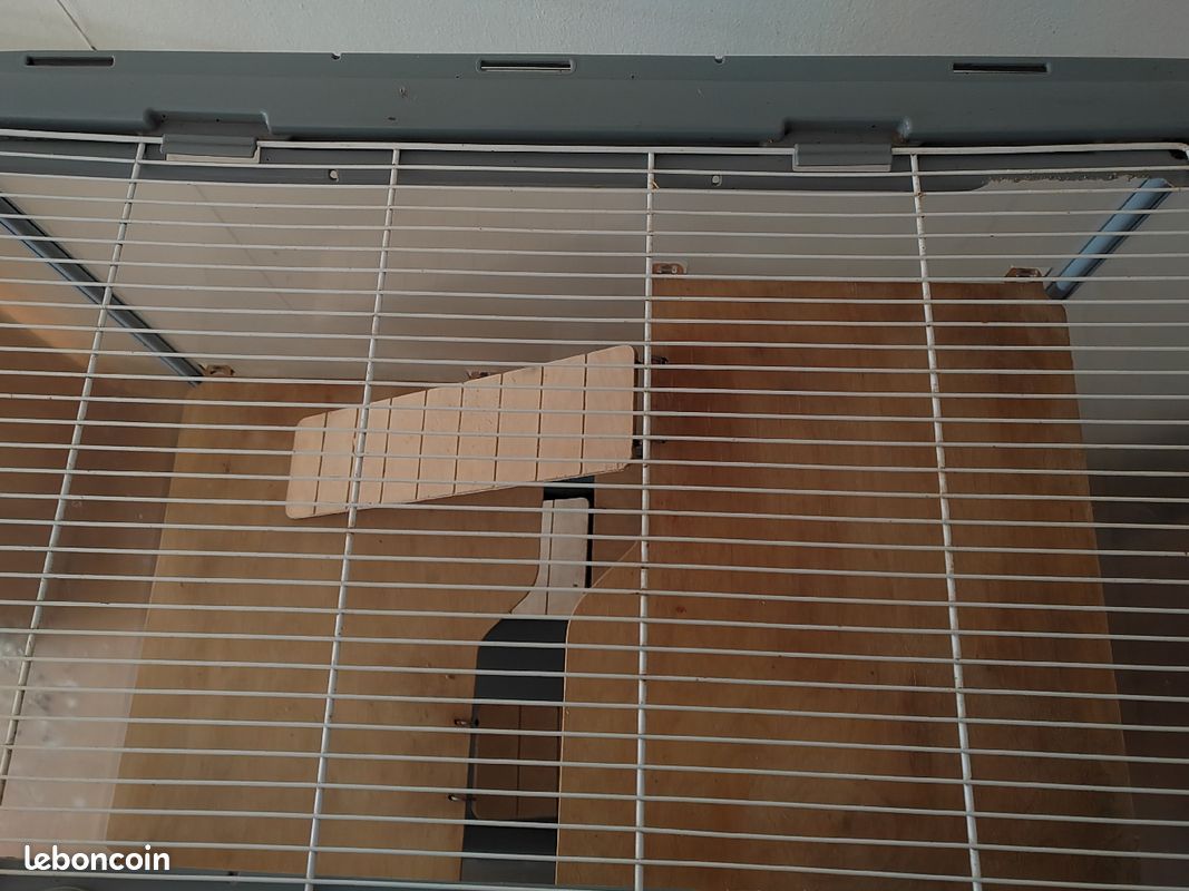 Grande cage (image 2)
