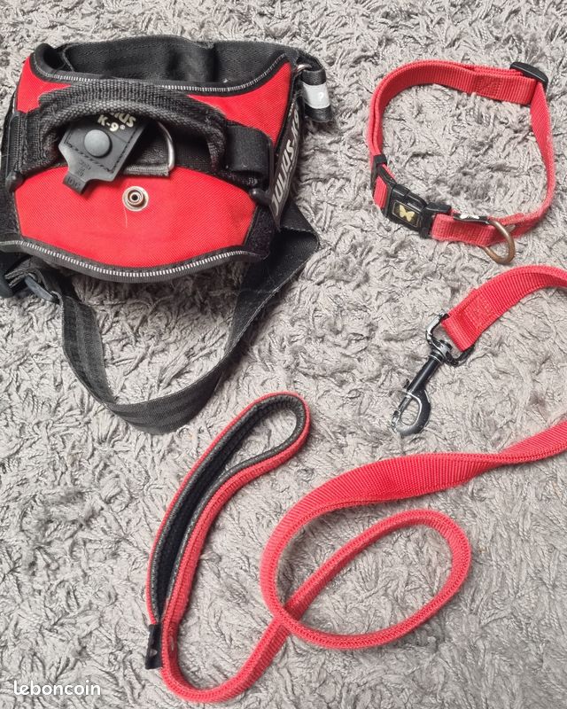 Harnais Julius K9 + collier + laisse Rouge jusqu'à 40 Kg (image 3)