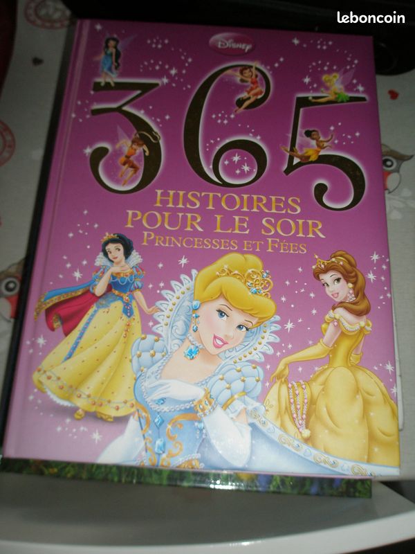 Livre princesses (image 1)