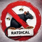 RATDICAL