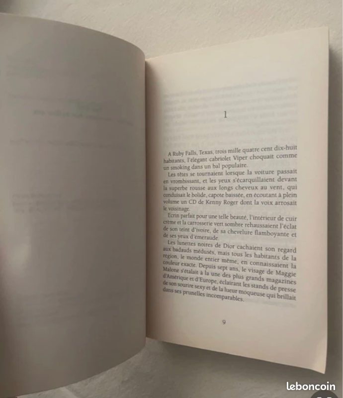 Le voile du secret : ginna gray (image 9)