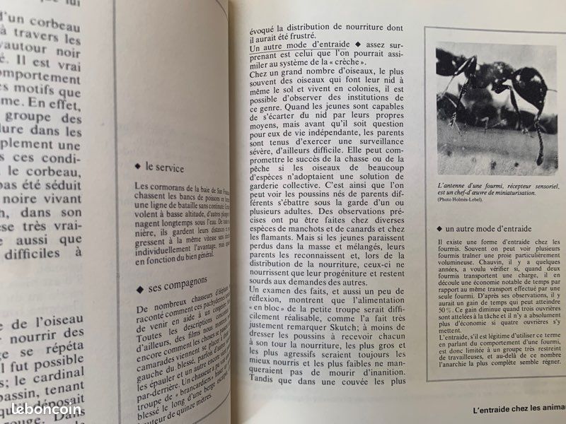 La pensée non humaine - encyclopédie planète (image 10)
