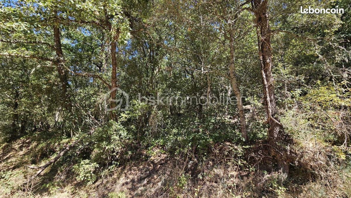 Terrain 8 200 m² Brunet · 7 500 €