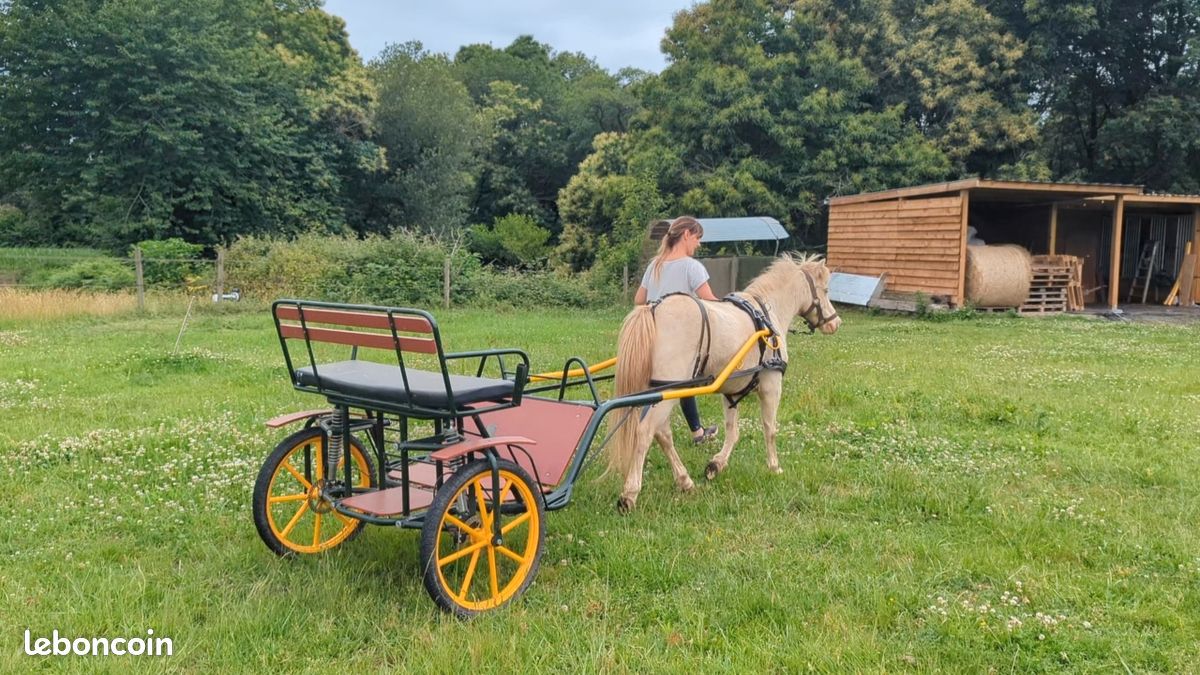 Quincaillerie laiton pour selle harnais de poney - Occasion