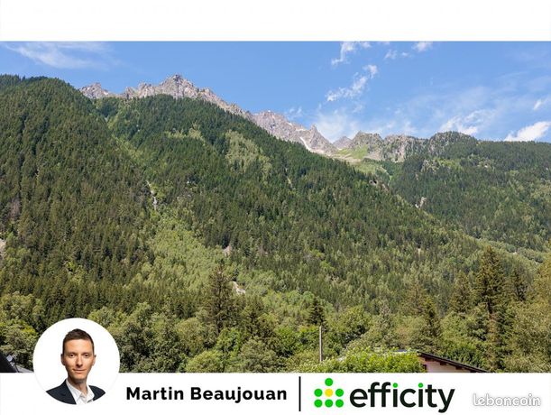 https://img.leboncoin.fr/api/v1/lbcpb1/images/c5/b1/9f/c5b19f5abc550d81ad4b930cd60013e5cf674f4f.jpg?rule=ad-image
