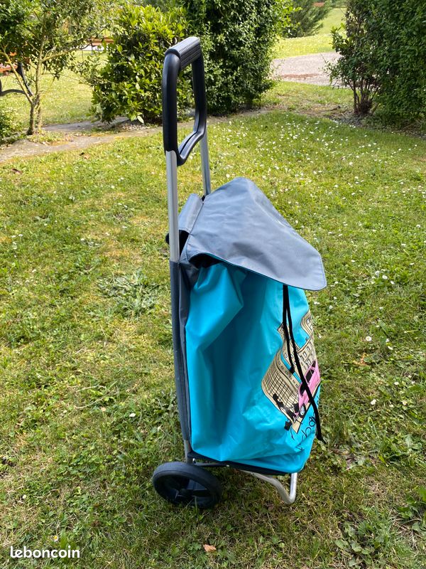 Chariot de courses (image 1)
