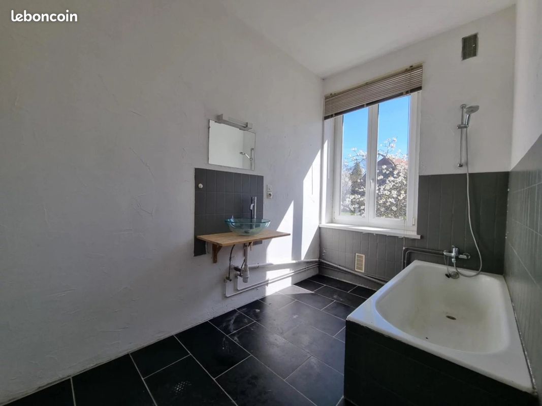 Immeuble 546 m² Abreschviller (image 3)