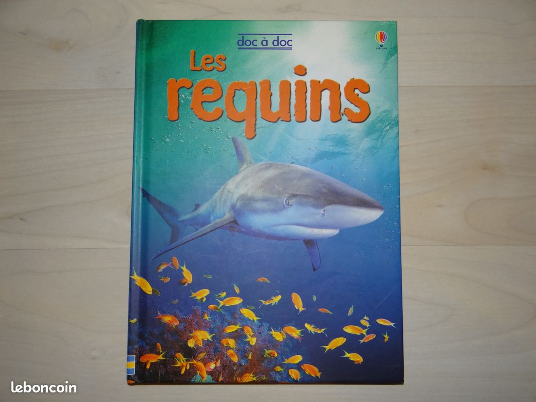 Les requins (image 1)