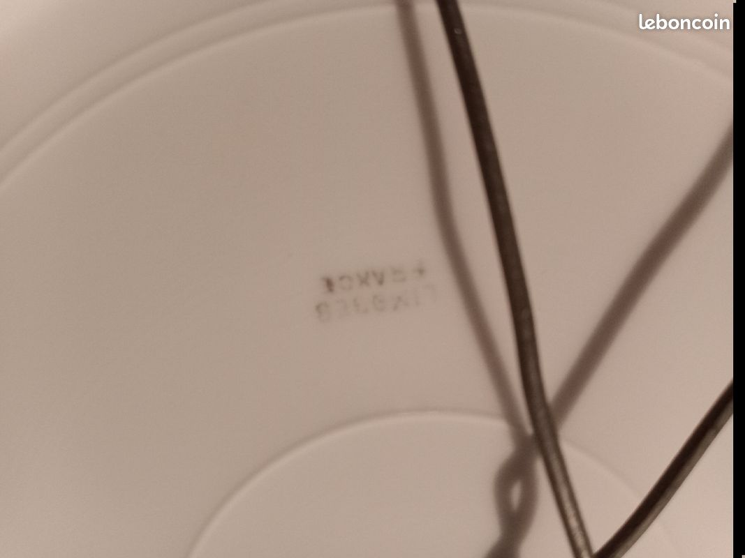 Superbes assiettes fleurie Limoges (image 17)