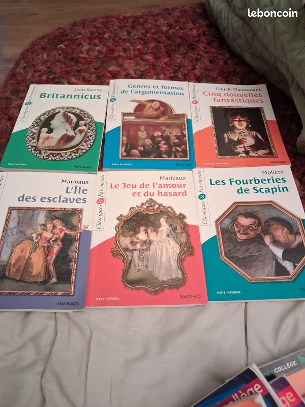 Livre classique et pattimoine (image 1)