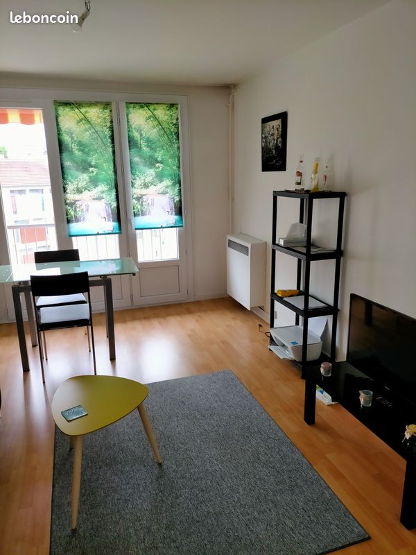 Vend t3 bon etat tres lumineux quartier vanteaux - Limoges 87000 (image principale 1)