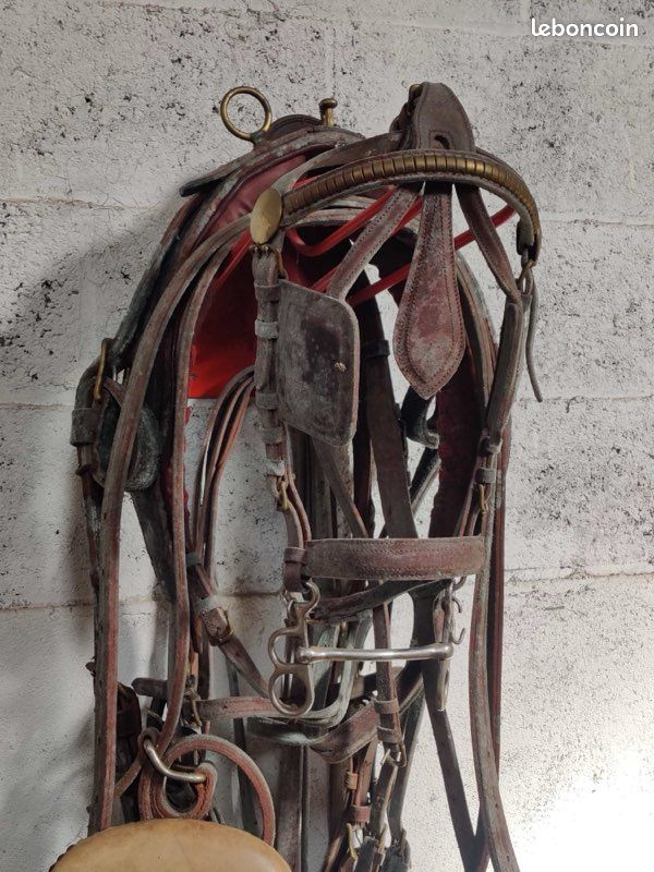 Harnais Pour Poney En Corde Rouge Vintage – Matériel D'équitation
