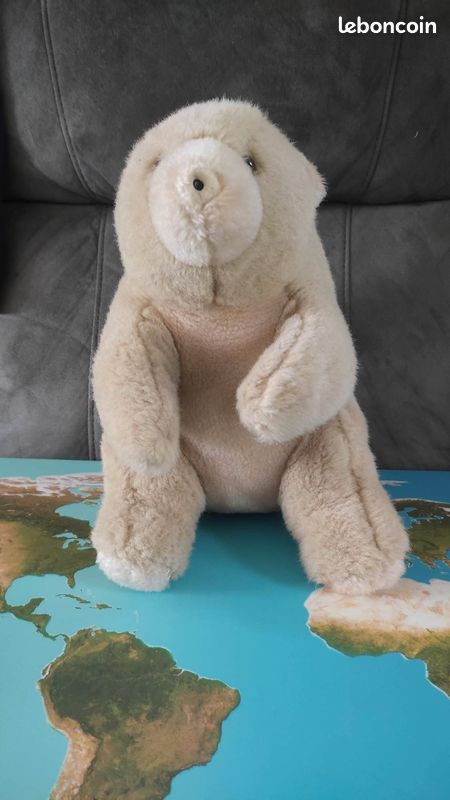 Ourson en peluche (image 1)