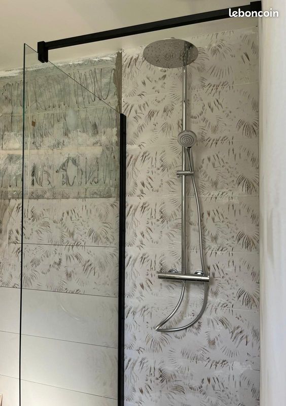 Colonne douche + paroi de douche (image 2)