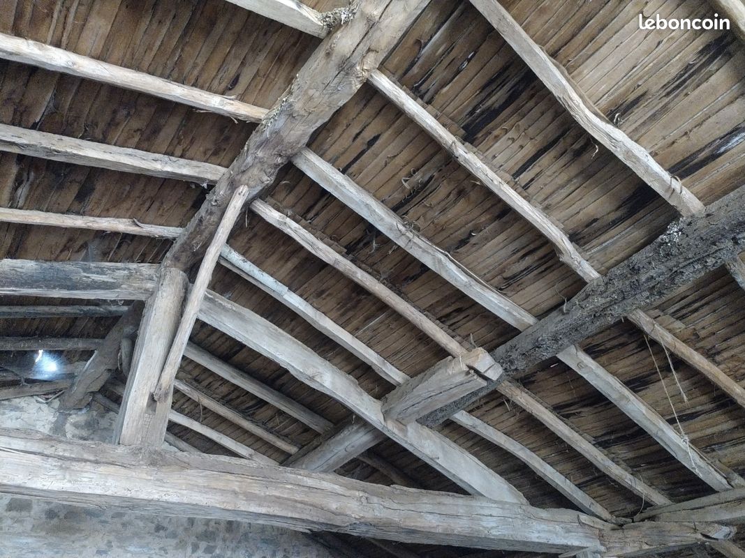 Bois charpente (image 3)