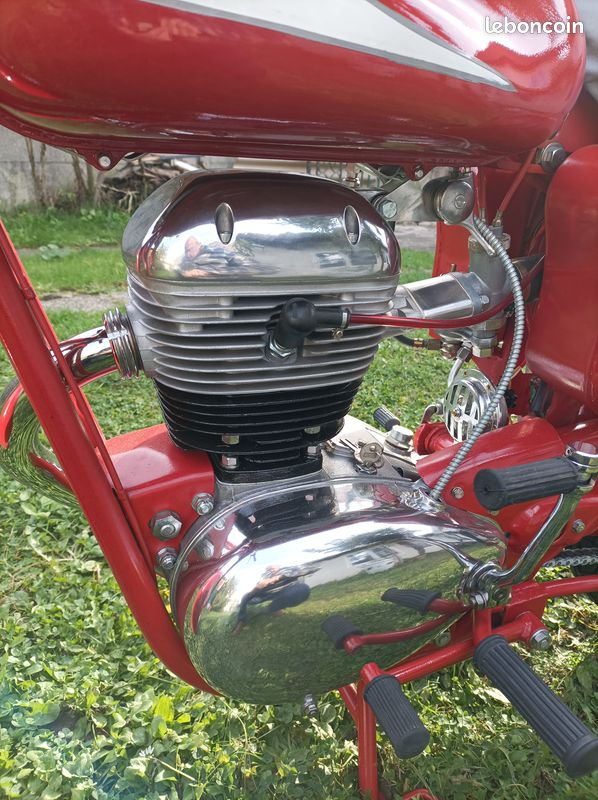 175 PEUGEOT super ténor (terrot) (image 4)