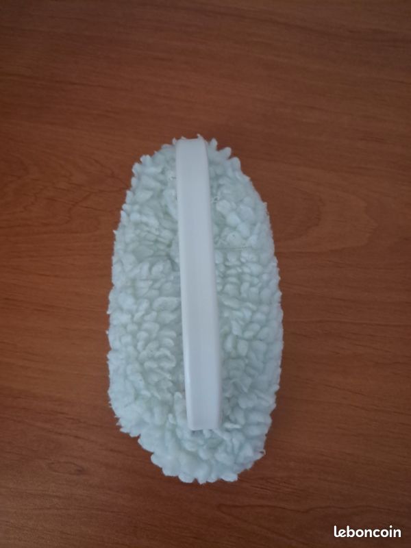 Brosse lustrante (image 1)