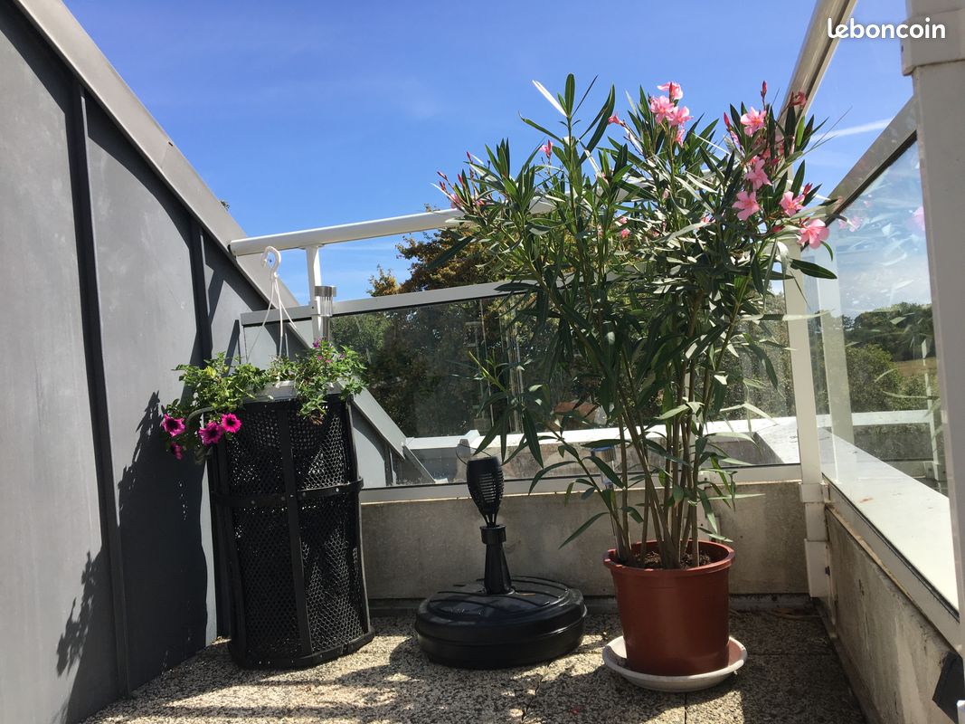 Studio Vannes Port location saisonnière (image 1)