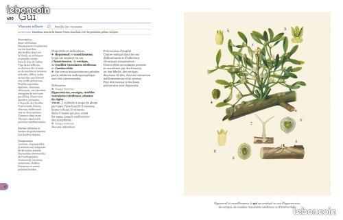La Bible des Plantes qui Soignent ( santé alternative ) (image 3)