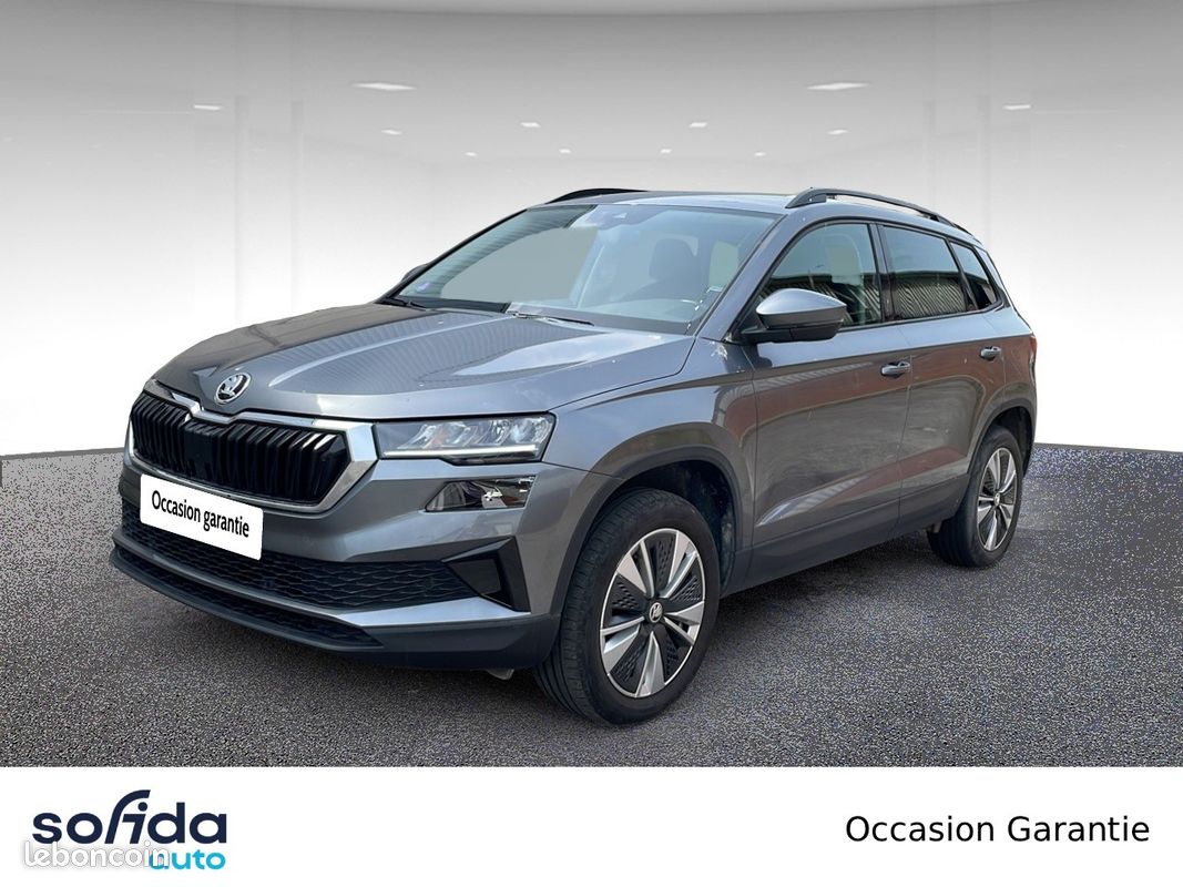 SKODA Karoq 1.0 TSI 110 ch Business (image 1)