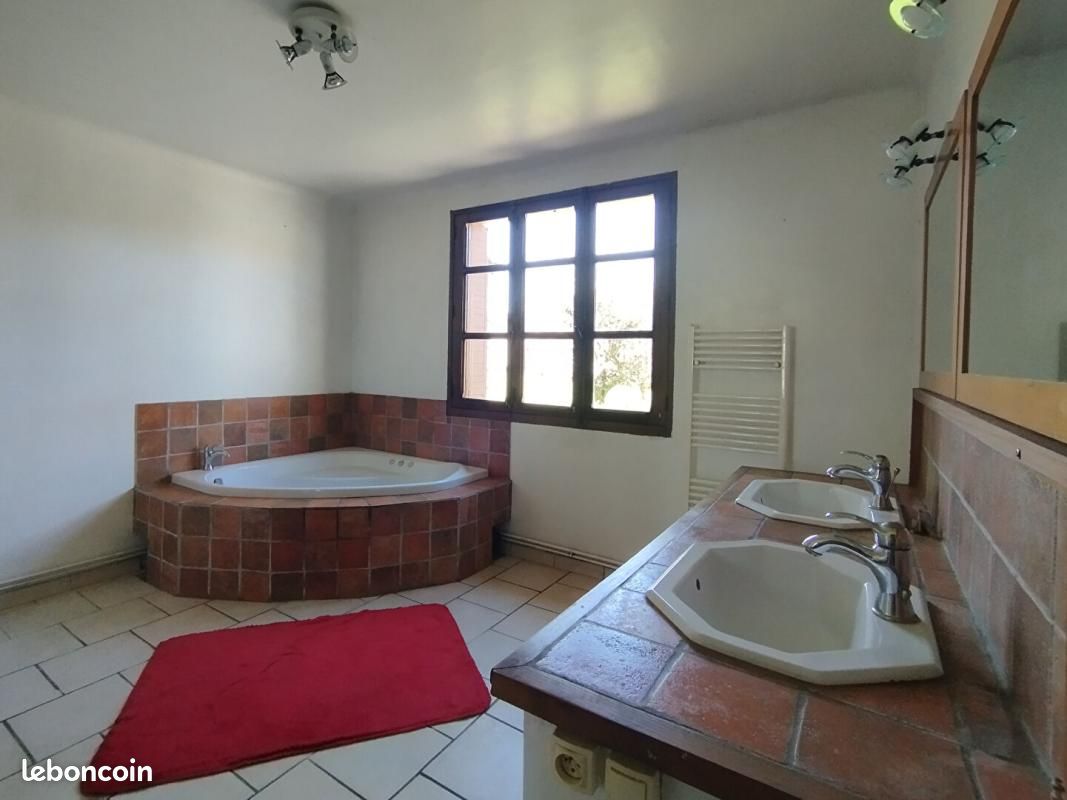 Maison 8 pièces 260 m² (image 7)