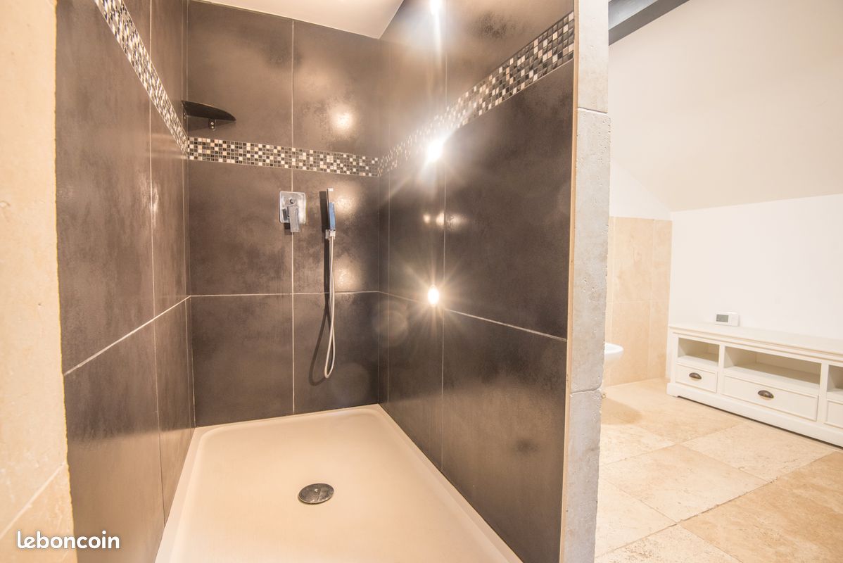 Propriété chalet-gite 15-21 pers, jacuzzi et étang privatif, pleine nature (image 9)
