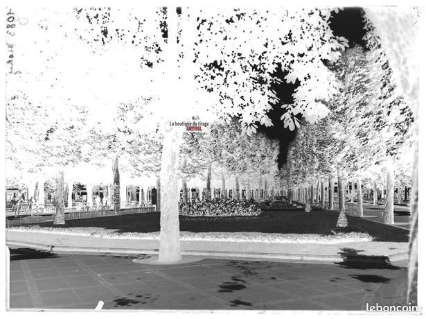 Plaque De Verre Ancienne 10x15 Cm – Vichy Parc Public – Négatif Noir Et Blanc – 1900-1939