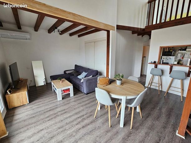 Duplex 1 pièce 57 m²