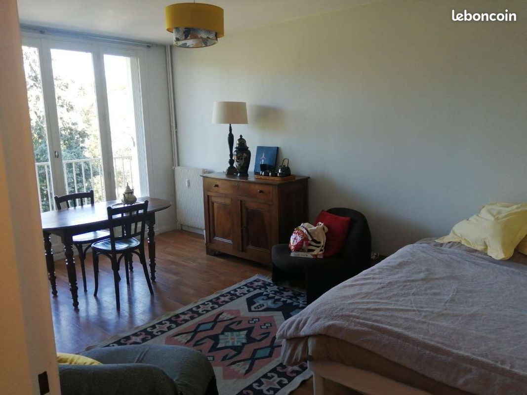 T1 Limoges - Limoges 87000 (image principale 1)