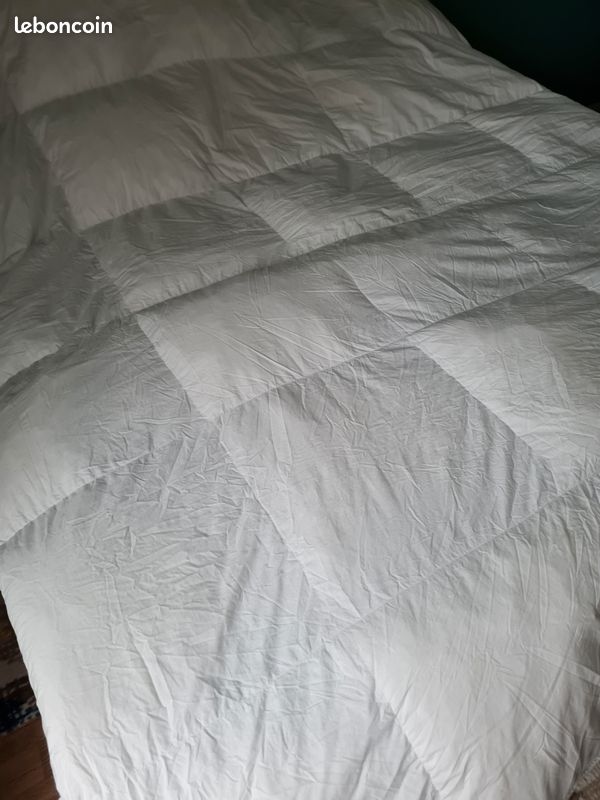 Couette dodo haut luxe toucher duvet 240*260 (image 1)