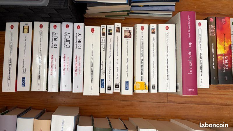 Lot de romans – Marie-Bernadette Dupuy (image 3)