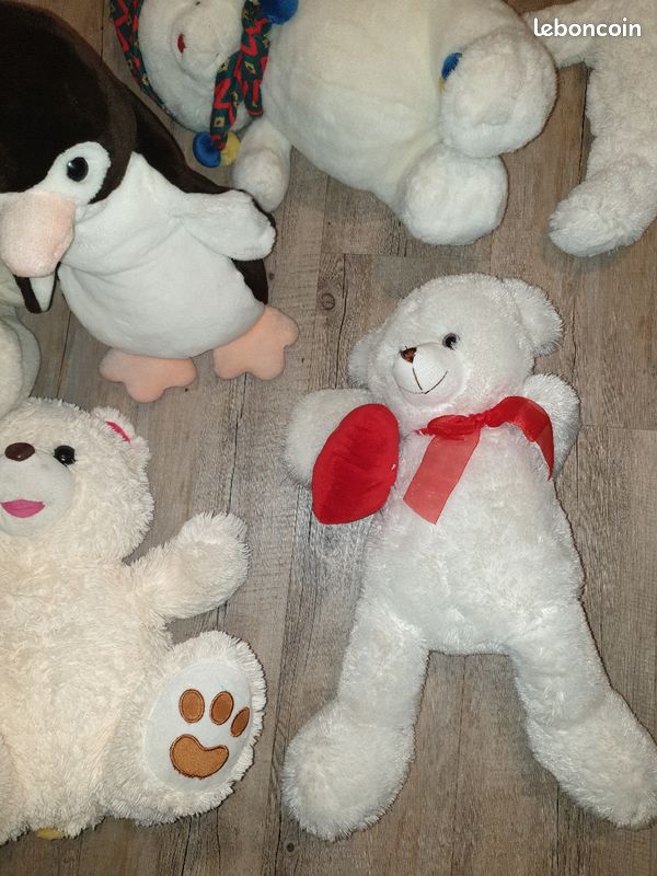 Des ours (image 2)