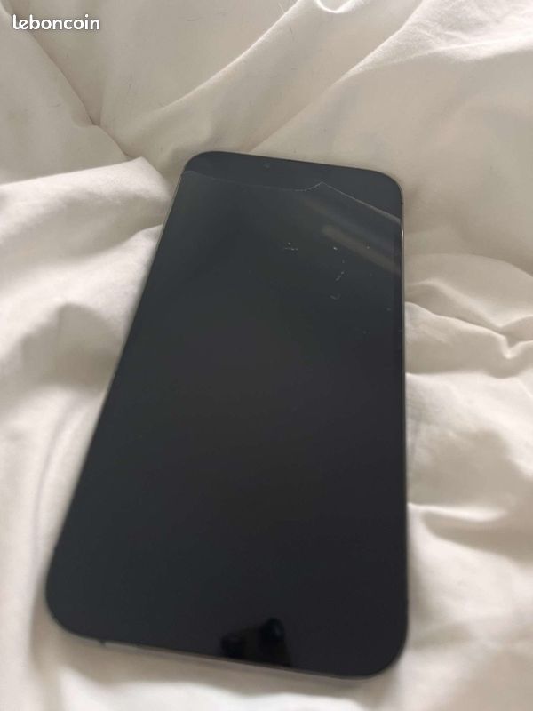 IPhone 13 Pro Max 256 go (image 3)