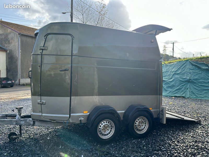 Van Chevaux Westfalia Saumur Westfalia Van Chevaux Neuf Van