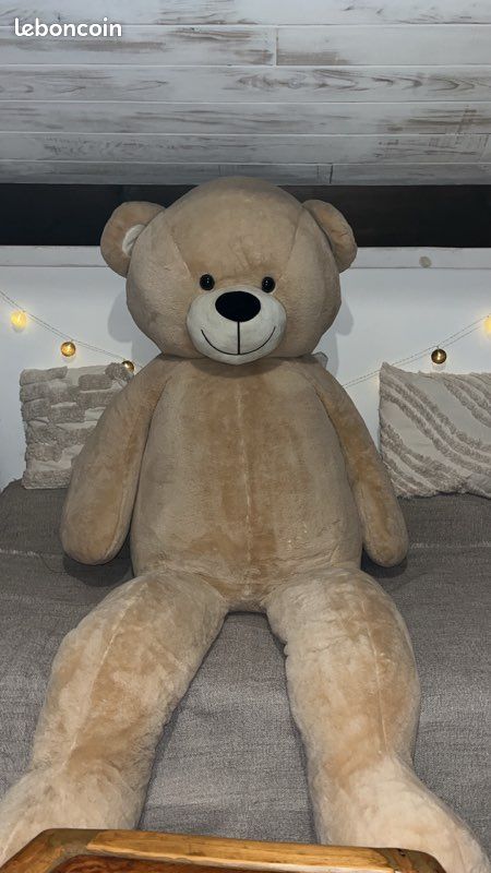 Ours en peluche (image 1)