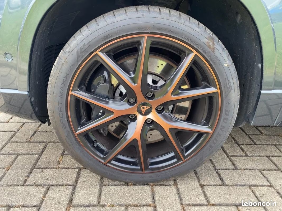 Cupra ateca 2.0 tsi 300 4drive dsg7 (image 6)