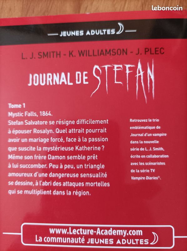 Le journal de Stefan (image 2)