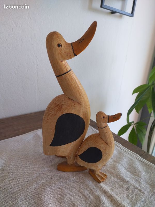 Canard (image 1)