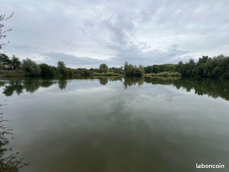 Étang de 2 hectares sur 3,3 hectares de terrains · à La Bruère-sur-Loir · 85 000 €