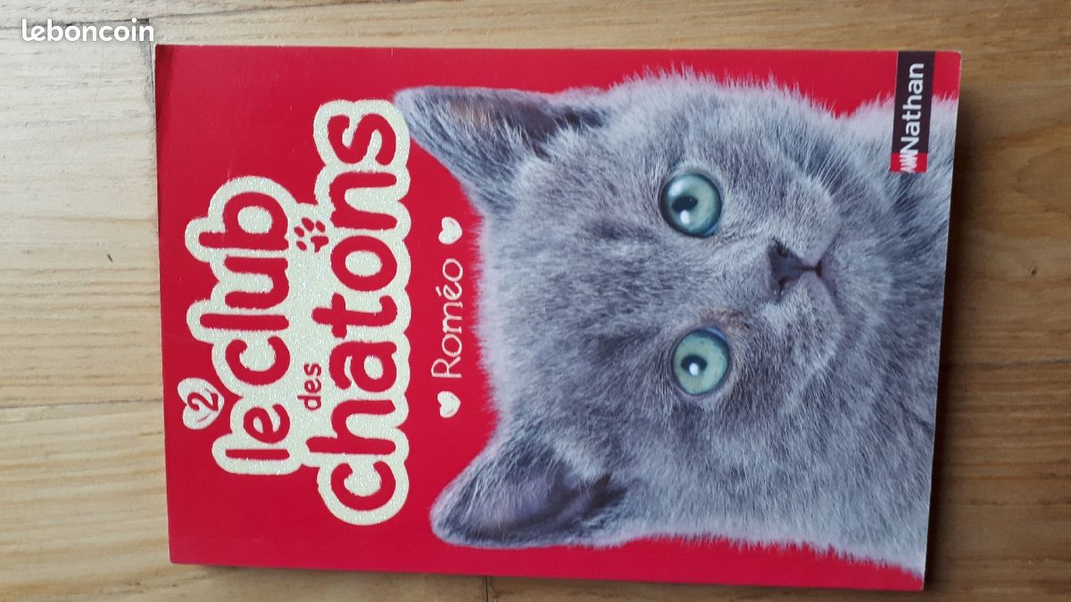 Le club des chatons (image 1)