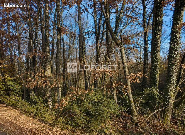 Terrain 5960 m² TAURIAC