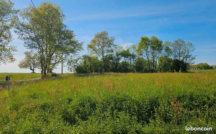Terrain 1 060 m² Forgues