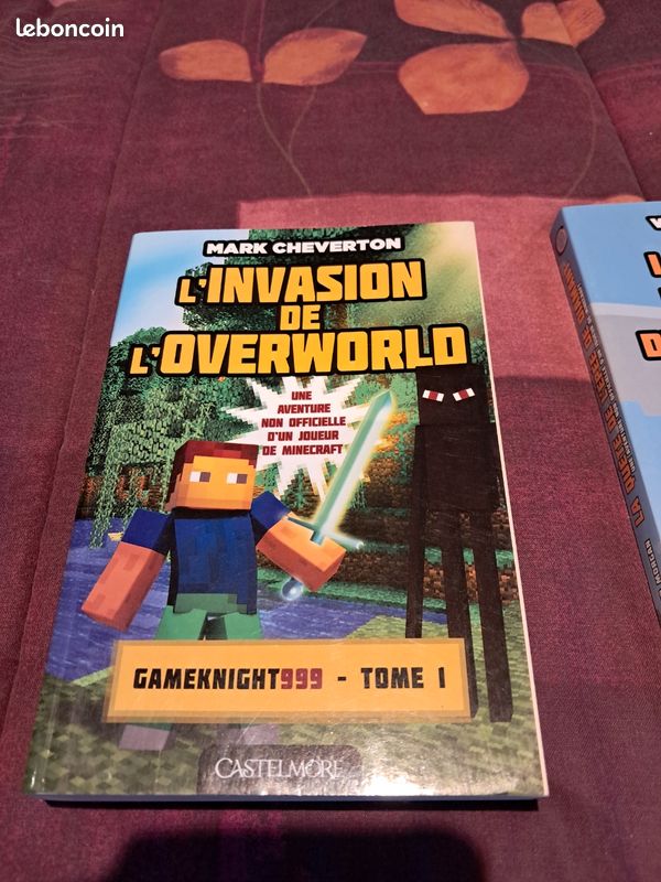 2 livres Minecraft (image 2)