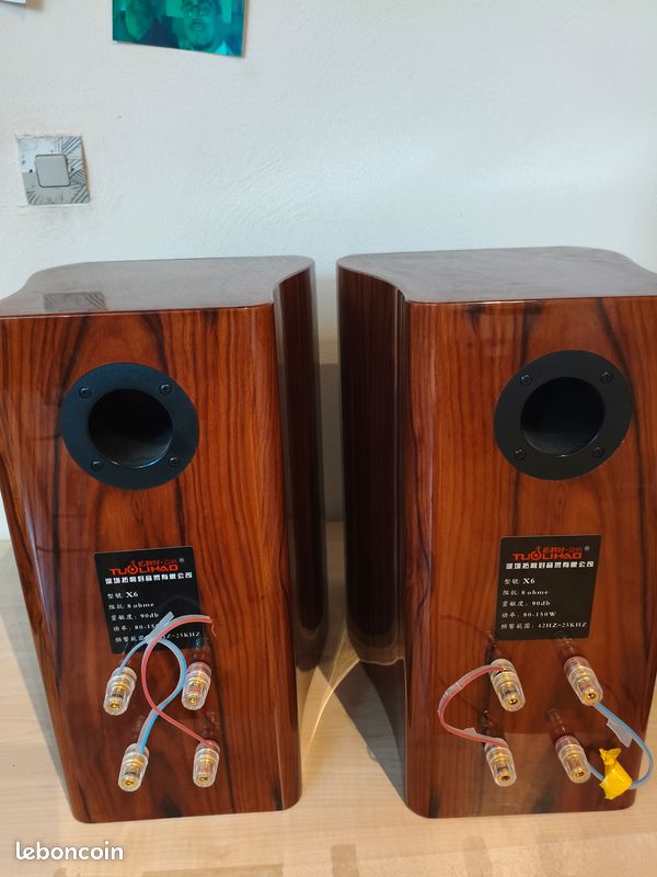 RARE - Paire d'enceintes audiophiles TUOLIHAO X6 (Urgent / Prix sacrifié) (image 3)