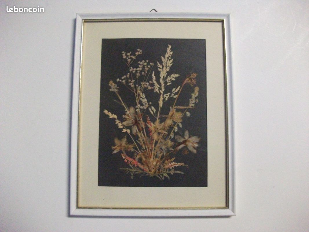 Tableau avec compostions de fleurs séchées (image 2)