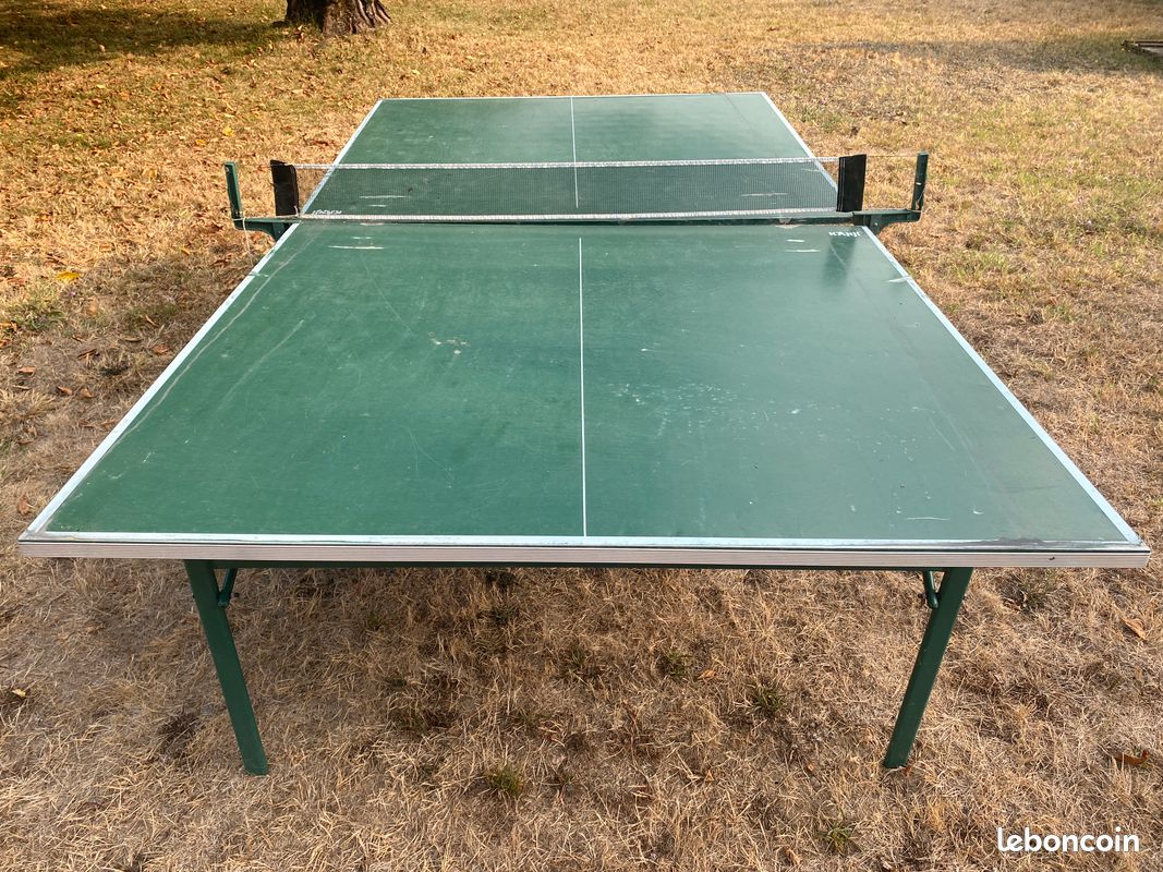 Table de ping pong (image 1)