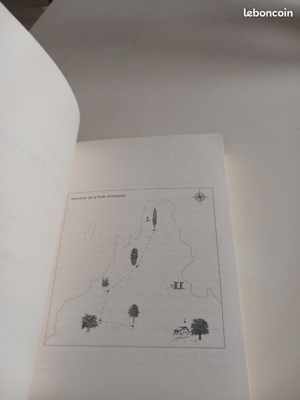L'ARCHIPEL des hippocampe Béatrice COLLAS Editions LIBRINOVA Dédicacée Eo Tbe (image 10)